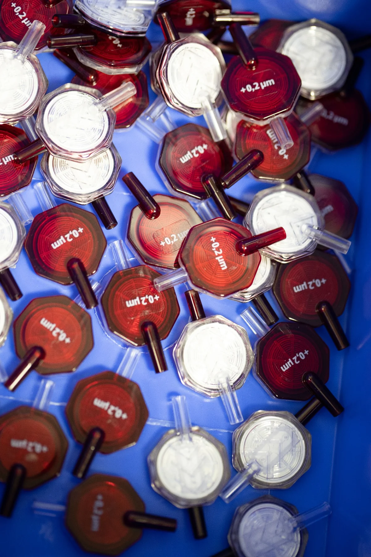 Rote und transparente Filterelemente in einer blauen Box